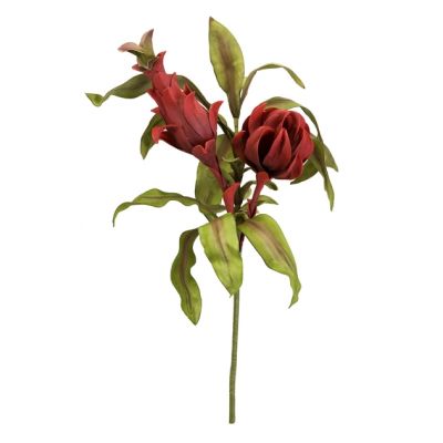 Vivien Red Floral Bundle