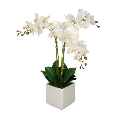 Triple Stem White Orchid in White Cube Vase