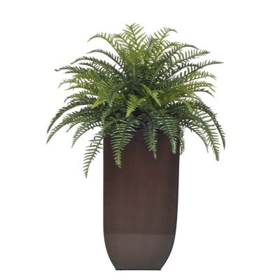 Boston Fern in Copper Planter