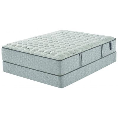 Ferrington Firm King Mattress