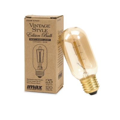 Vintage Edison Light Bulb