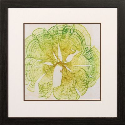 25" x 25" Brown & Green Fan Coral Picture