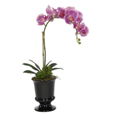 Lavender Orchid in Black Ceramic Urn