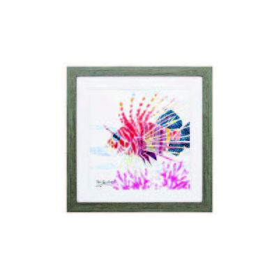 Sea Creature Fish Art in Frame