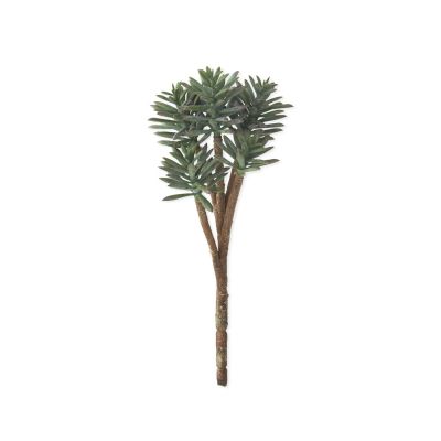 12 Inch Powdered Green 5 Head Spiked Succulent Pick