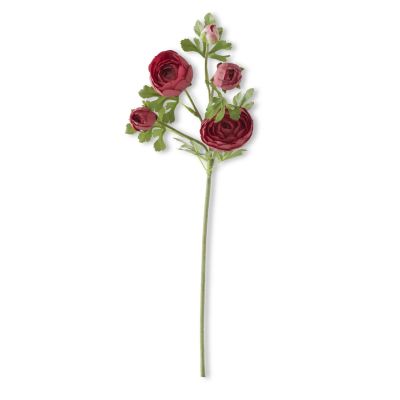24.5 Inch Burgundy Real Touch 5 Head Ranunculus