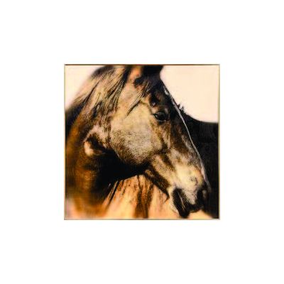 Brown Horse Painting in Frame