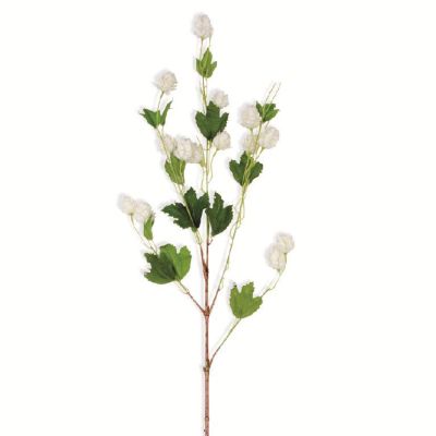 39 Inch Cream Hops Stem