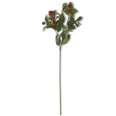 28 Inch Red 5 Bud Peony Stem