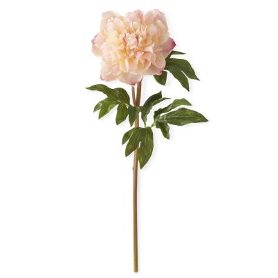 21.5 Inch Coral Charm Real Touch Peony Stem