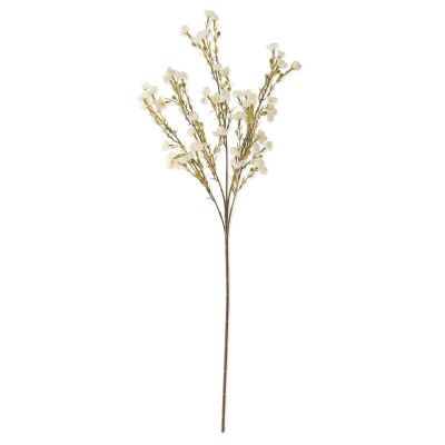 35 Inch White Chamelaucium Spray