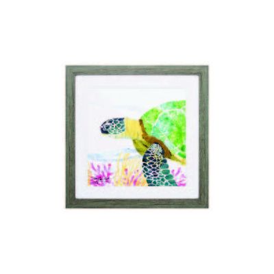Sea Creature Turtle Image in Frame