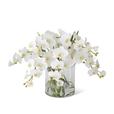 16 Inch White Orchid Premade in Glass Vase w/Faux Water