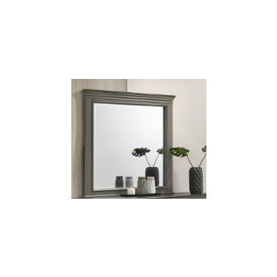 8309 Mirror
