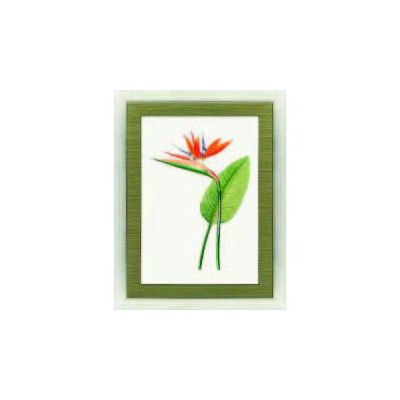 Bird Of Paradise Painting in Frame