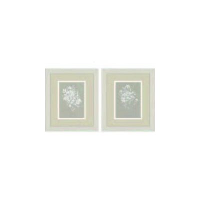 Delicate Botanicals Set of 2 Paintings in Frame