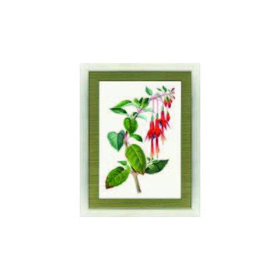 Downward Red Floral Painting in Frame