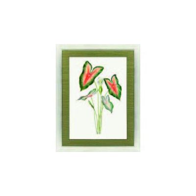 Caladium Painting in Frame