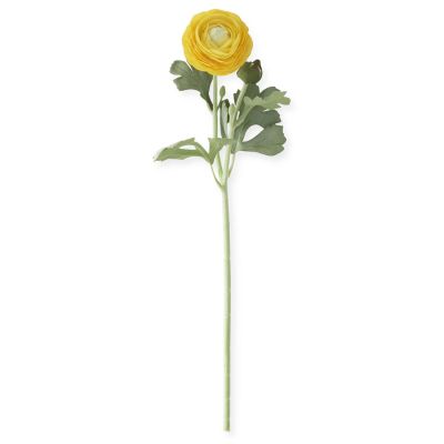 19.5 Inch Real Touch Dark Yellow Bud & Bloom Ranunculus Stem