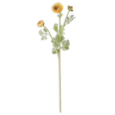 28 Inch Yellow Ranunculus Spray