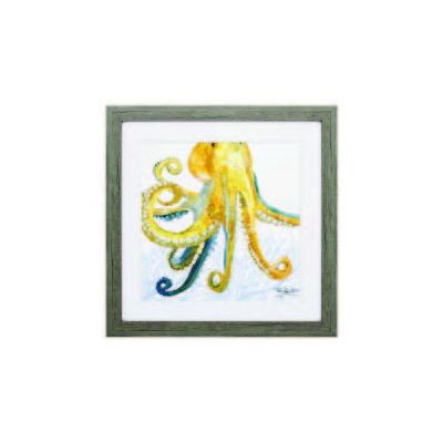 Sea Creature Octopus in Frame