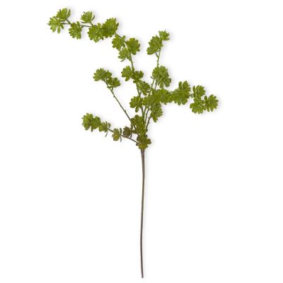 42 Inch Green Succulent Spray