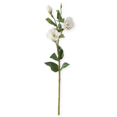 25 Inch White Rose Stem