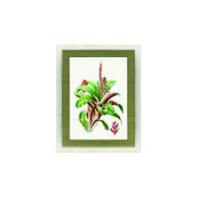 Cactus Floral Painting in Frame