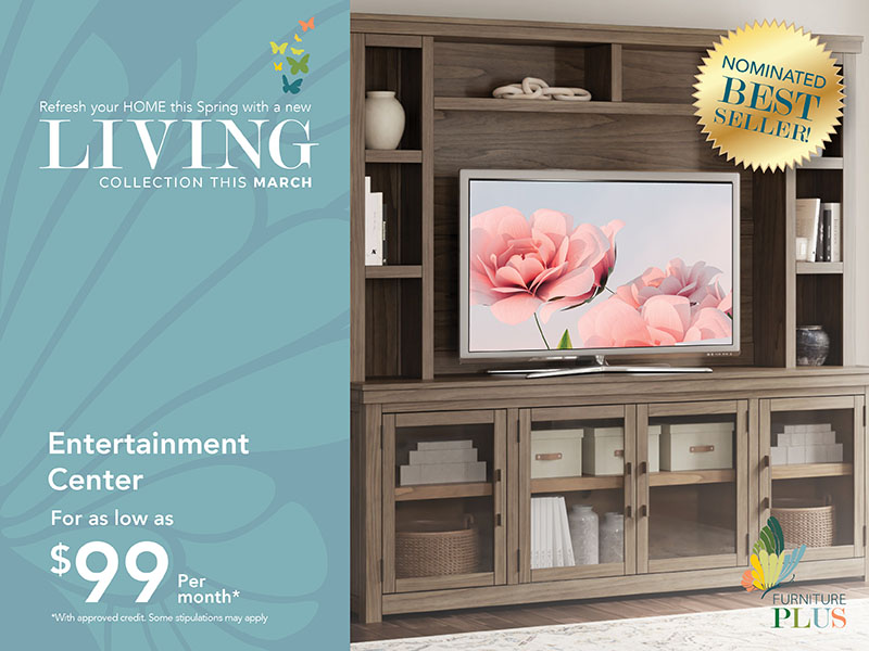 Entertainment Center